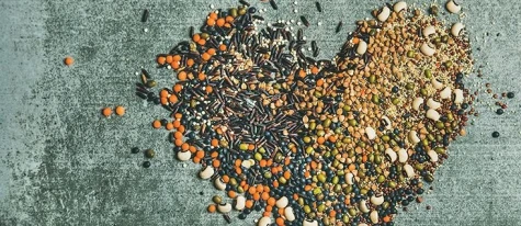 Cosecha de cereales de Ucrania está completa en un 93%, confirma disminución de la cose...